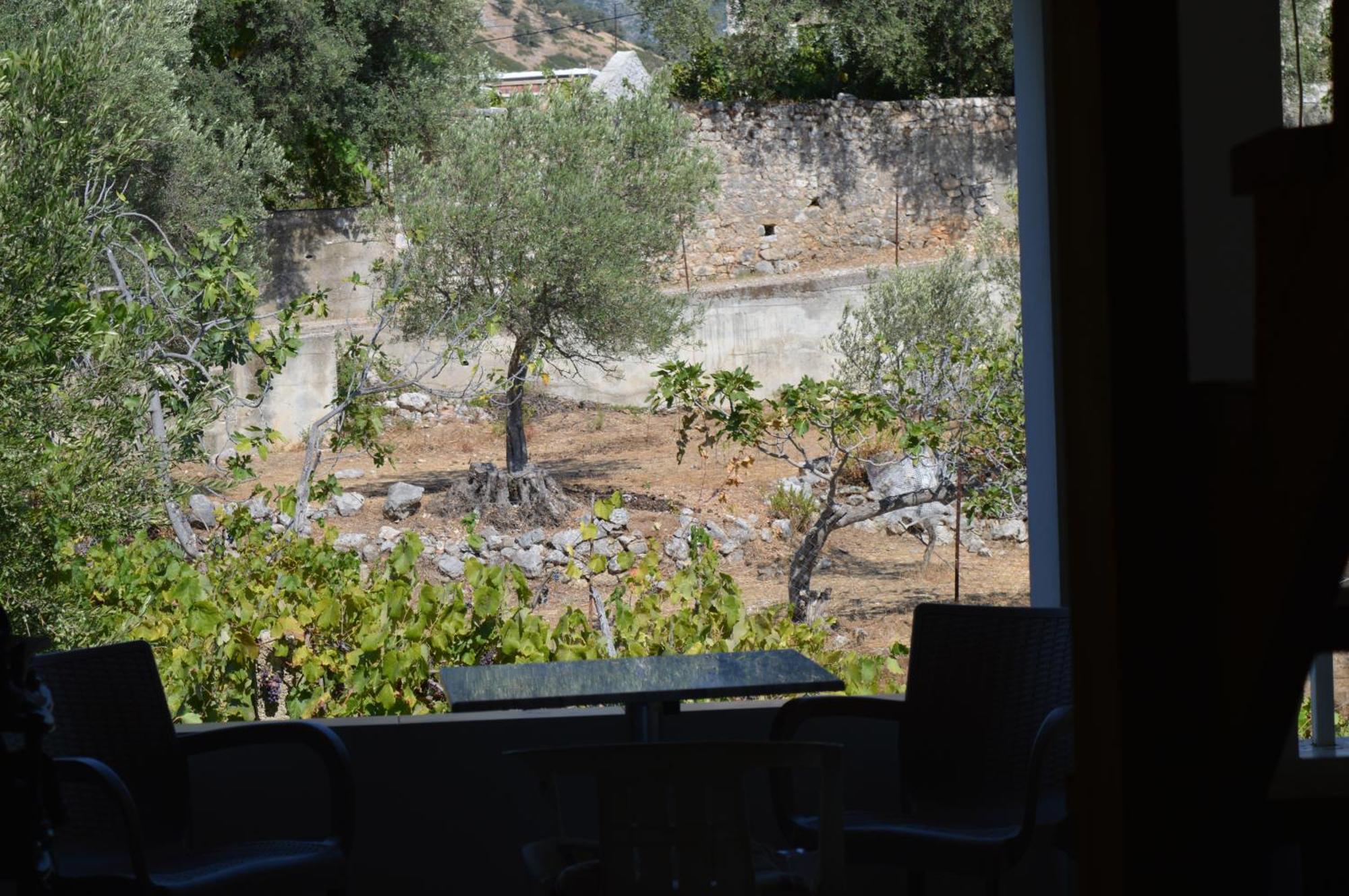 Tolis Rooms Himare Exterior photo