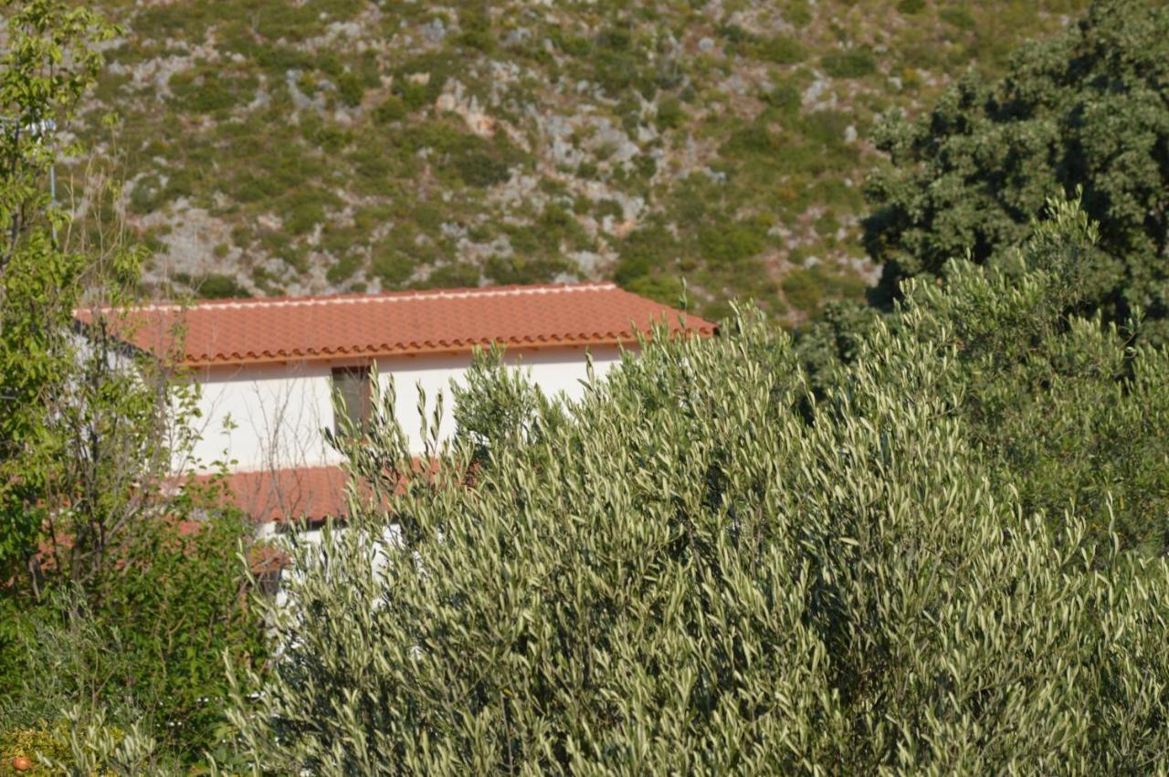 Tolis Rooms Himare Exterior photo